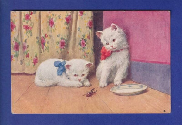 CHAT - Chatons et scarabée