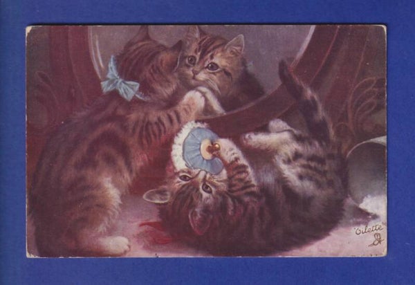 CHAT - Chatons joueurs