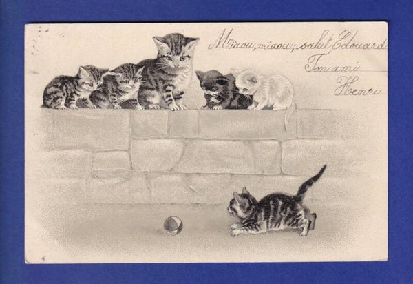 CHAT - Chatons joueurs - Carte gauffrée