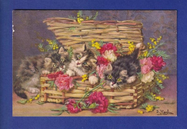 CHAT - Corbeille de chatons et fleurs - D. Merlin