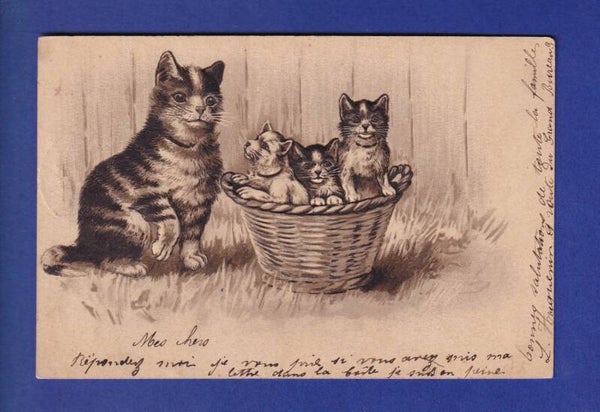 CHAT - Maman chat et sa corbeille de chatons