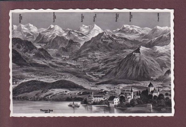SPIEZ und Umgebung - Vogelschau