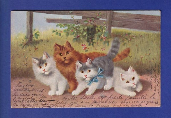 CHAT - Un bande de chats