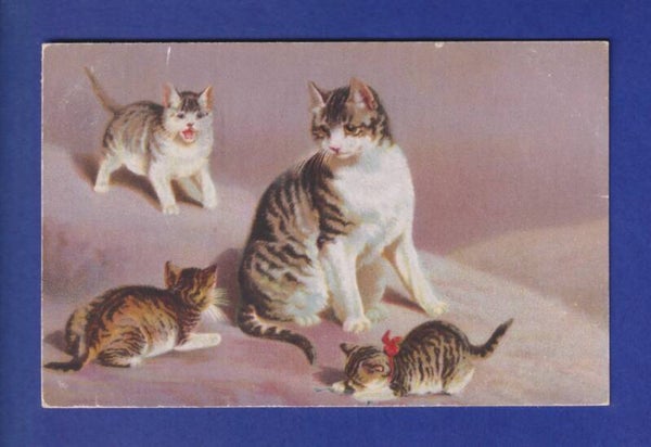 CHAT - Maman chat et ses chatons