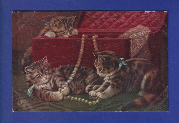 CHAT - Chatons et coffre à bijou