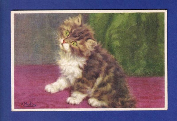 CHAT - Chaton aux yeux verts - D. Merlin