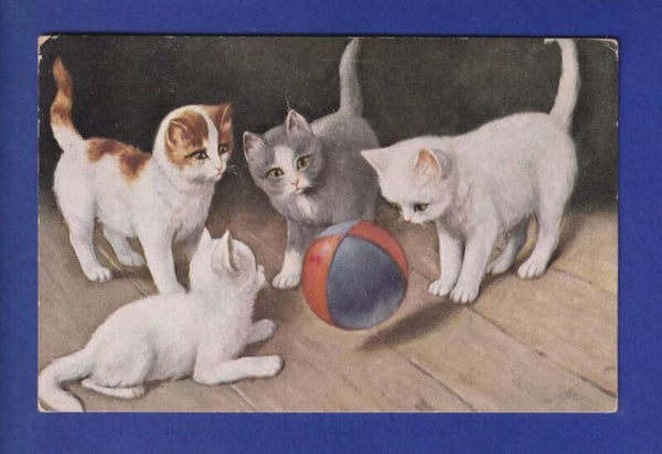CHAT - 4 chats et une baballe // pli //