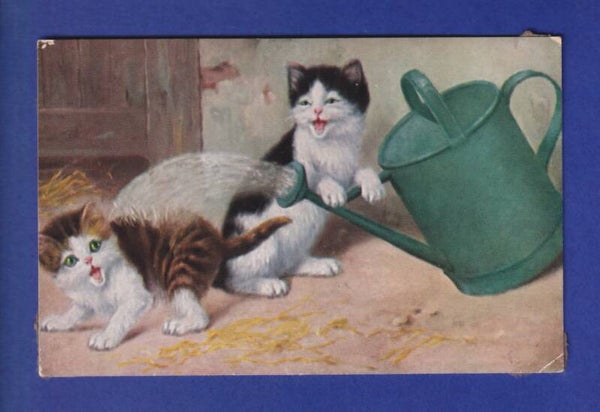 CHAT - Chatons farceurs - Arosoir // voir dos //