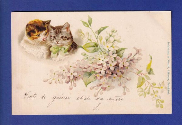 CHAT - Chats et fleurs