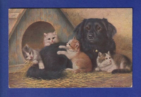 CHAT - Chats et chien - W. Schwar