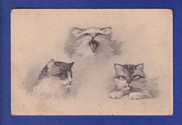 CHAT - Portraits
