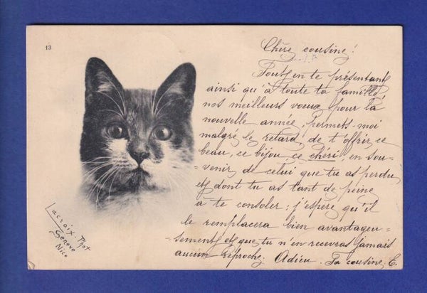 CHAT - Portrait - Oblitération linéaire FLEURIER
