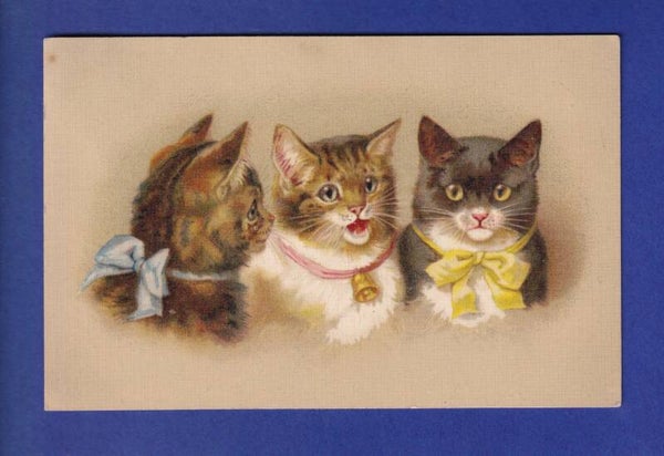 CHAT - 3 chats