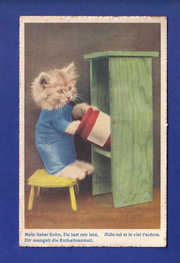 CHAT - Aide-toi et le ciel t'aidera