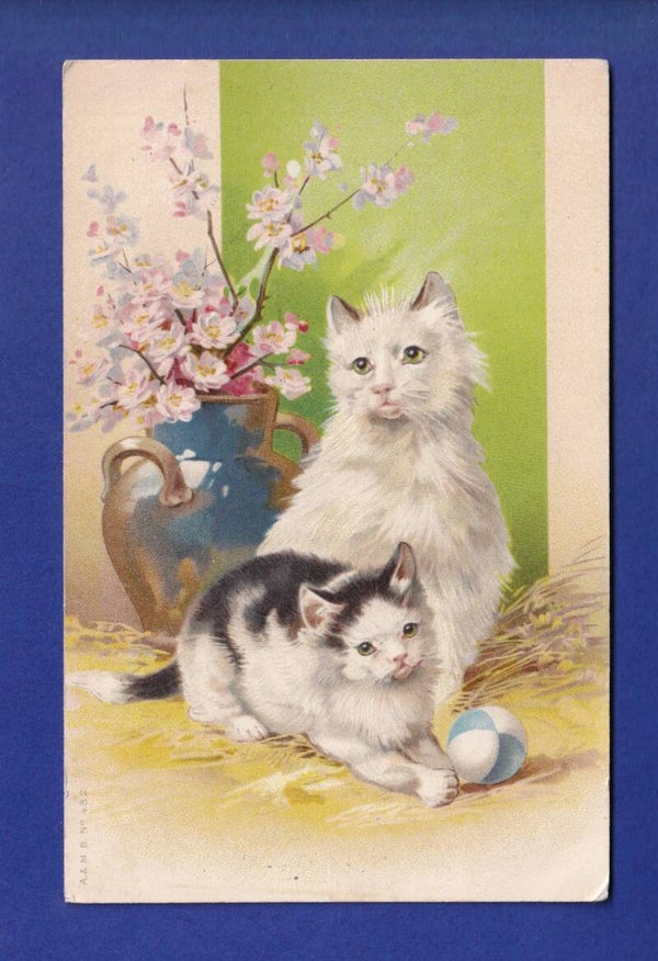 CHAT - Balle et fleurs