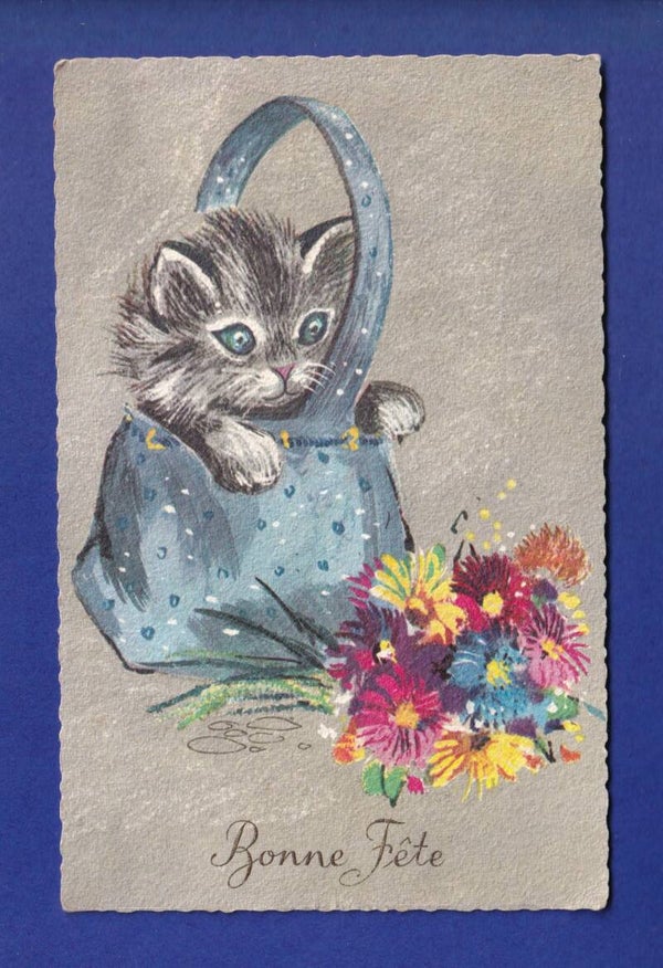 CHAT - Dans le sac et fleurs