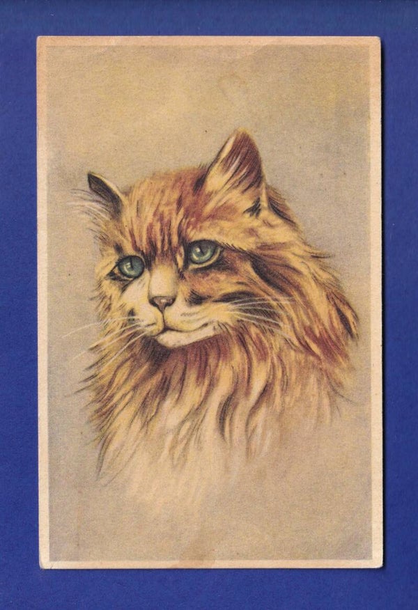 CHAT - Portrait