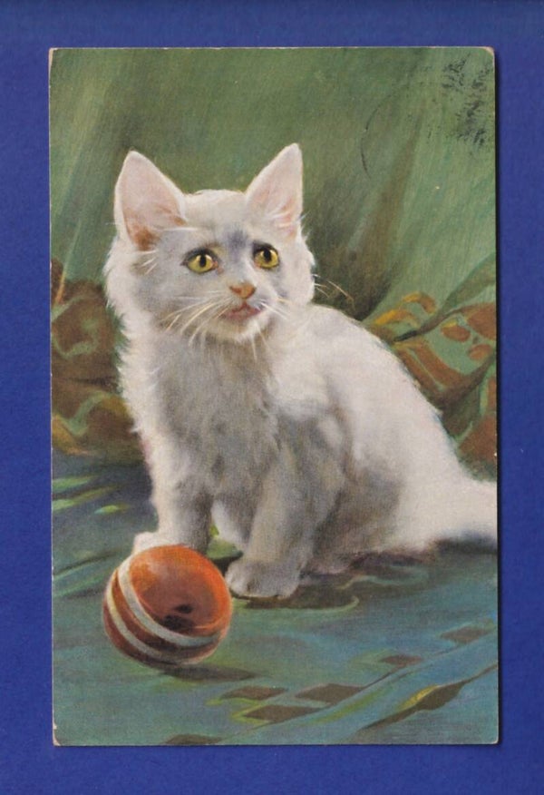 CHAT - Balle
