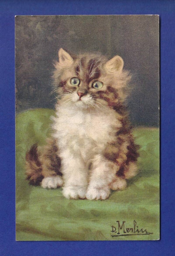 CHAT - Chaton aux yeux verts - D. Merlin