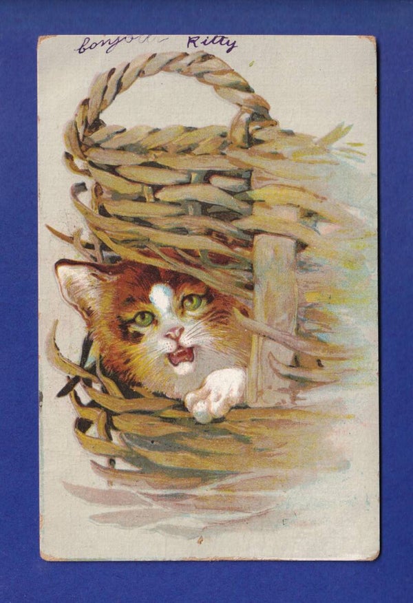 CHAT - Publicité "Aux armes d'Angleterre"