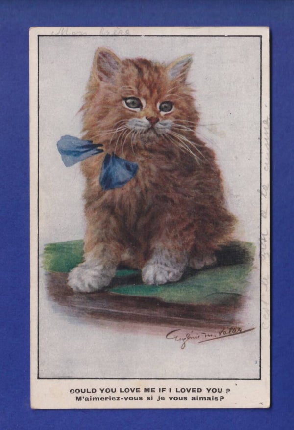 CHAT - M'aimeriez-vous si je vous aimais ?