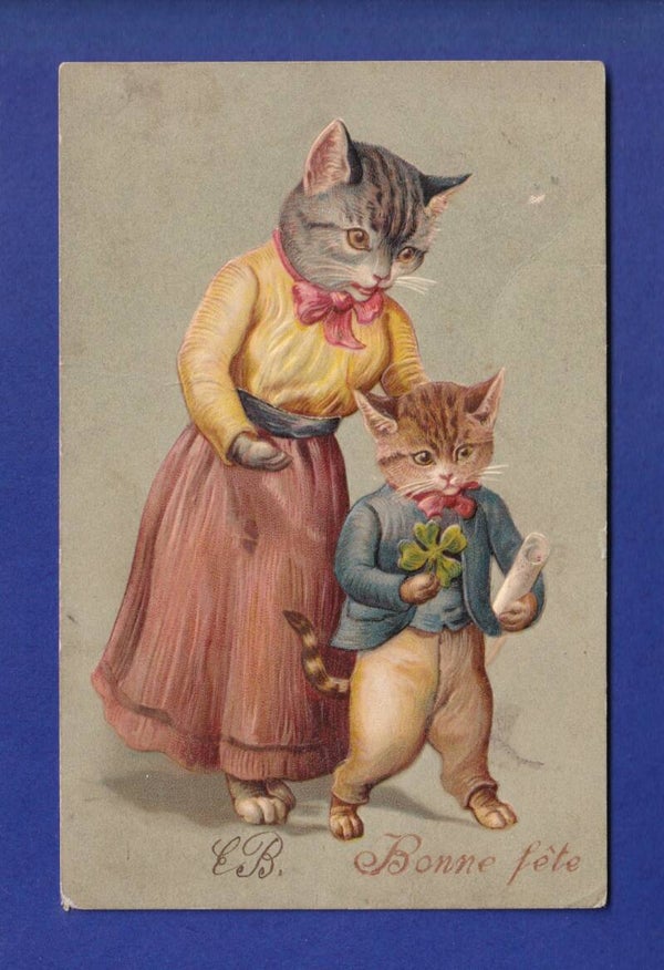 CHAT - Bonne Fête // pli et fente //