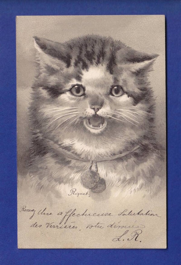 CHAT - Carte gauffrée