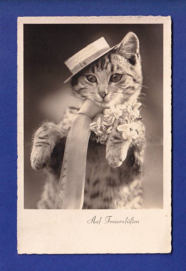 CHAT - Chapeau