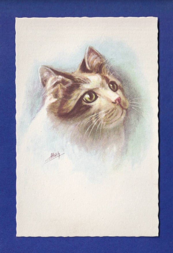 CHAT - Atoch