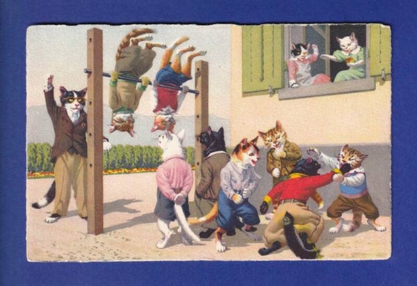 CHAT - Chats humanisés