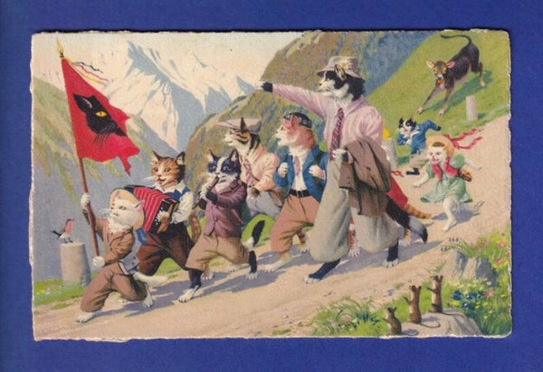 CHAT - Chats humanisés