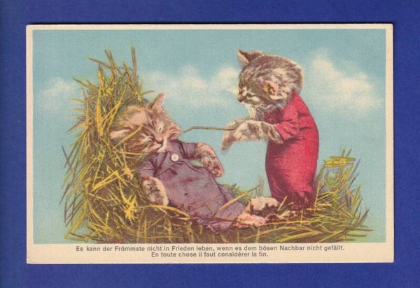 CHAT - Chat…touilleur