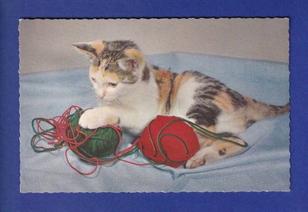 CHAT - Pelottes de laine