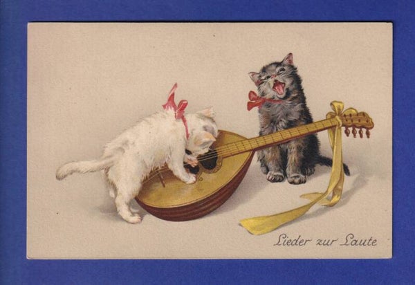CHAT - Chatons et mandoline