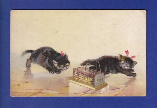 CHAT - Chatons et piège à souris // pli d'angle //