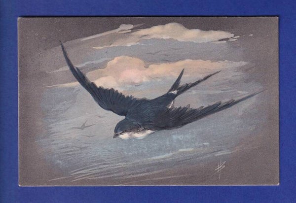 OISEAU - Hirondelle