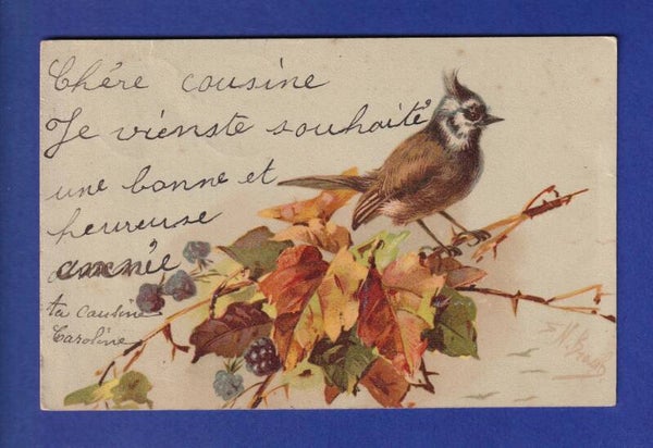 OISEAU - Sur sa branche