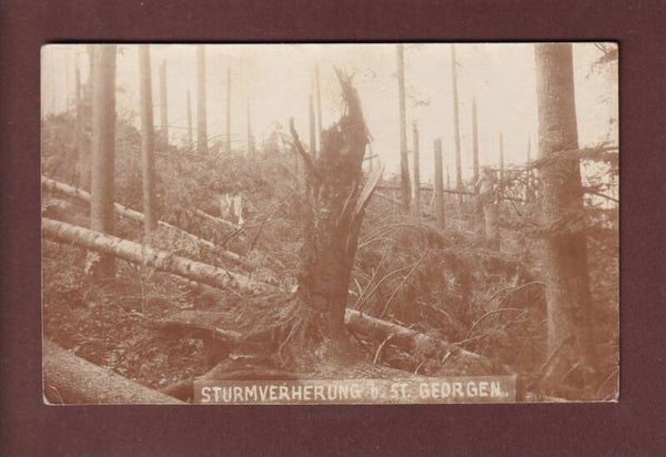 ST. GALLEN - Sturmverherung bei St. Georgen
