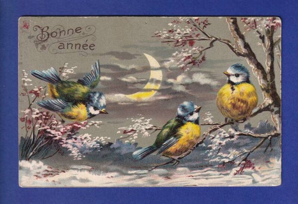 OISEAU - Mésanges - Bonne Année