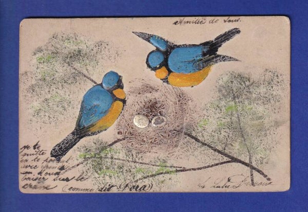 OISEAU - Nid de mésanges // pli //
