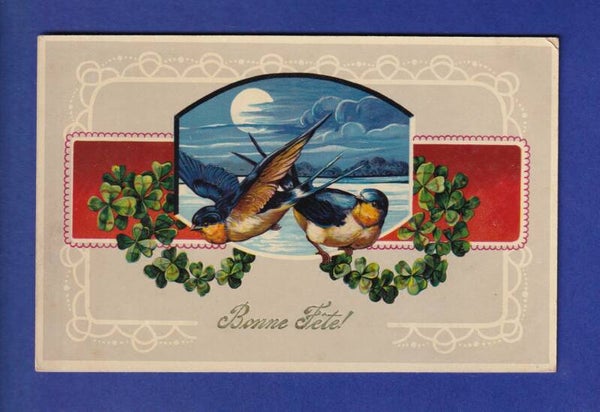 OISEAU - Hirondelles