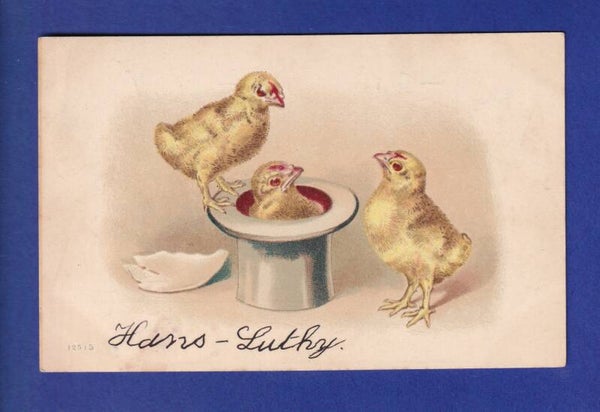 OISEAU - Poussins