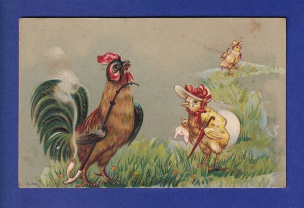 OISEAU - Le Coq et la Poule