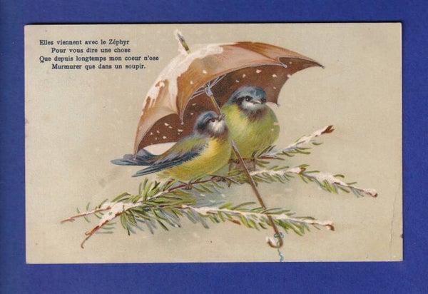 OISEAU - Mésanges sous parapluie // pli //