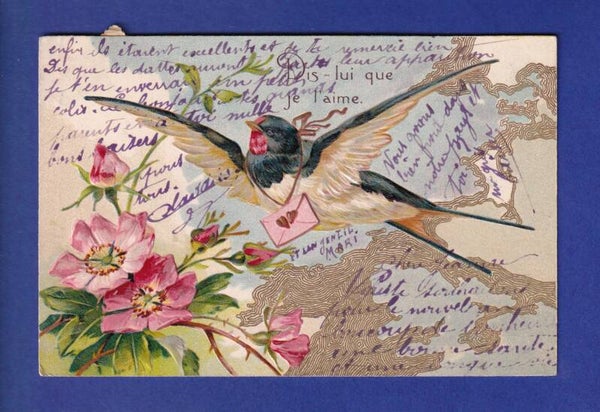 OISEAU - Hirondelle messagère