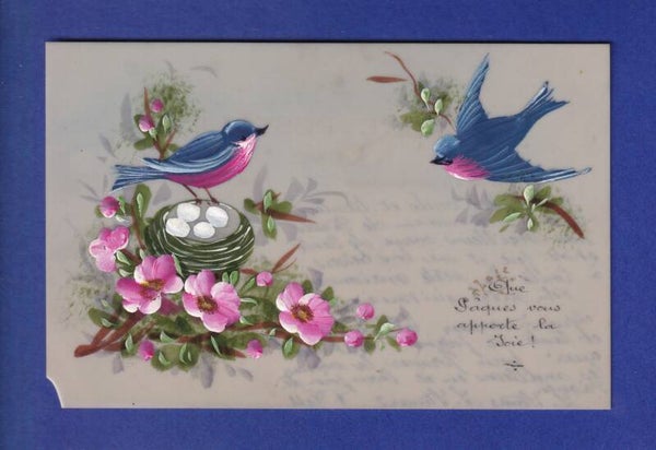 OISEAU - Hirondelles
