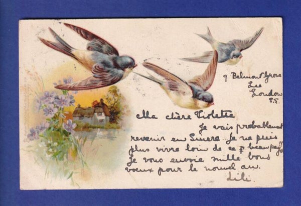 OISEAU - Hirondelles // pli d'angle //