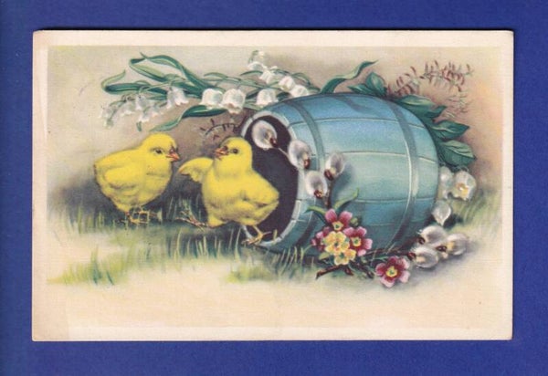 OISEAU - Poussins