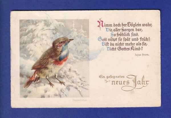 OISEAU - Rouge-Gorge - Neujahr