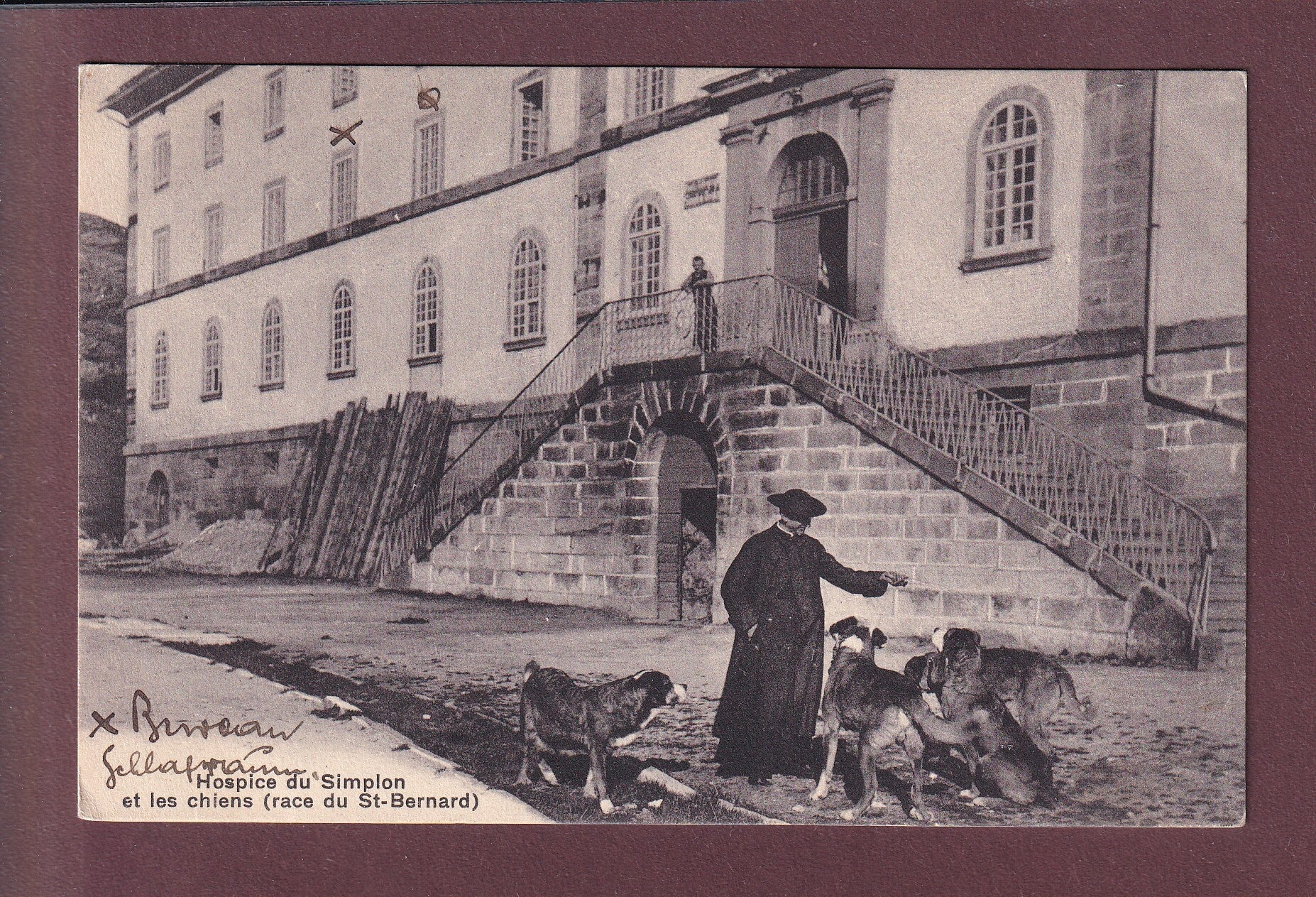 Hospice du SIMPLON - Maître et chiens - 1916 - Feldpost